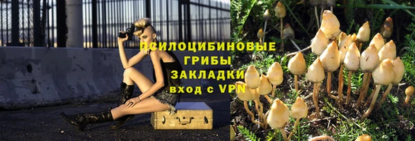 МДПВ Богородицк